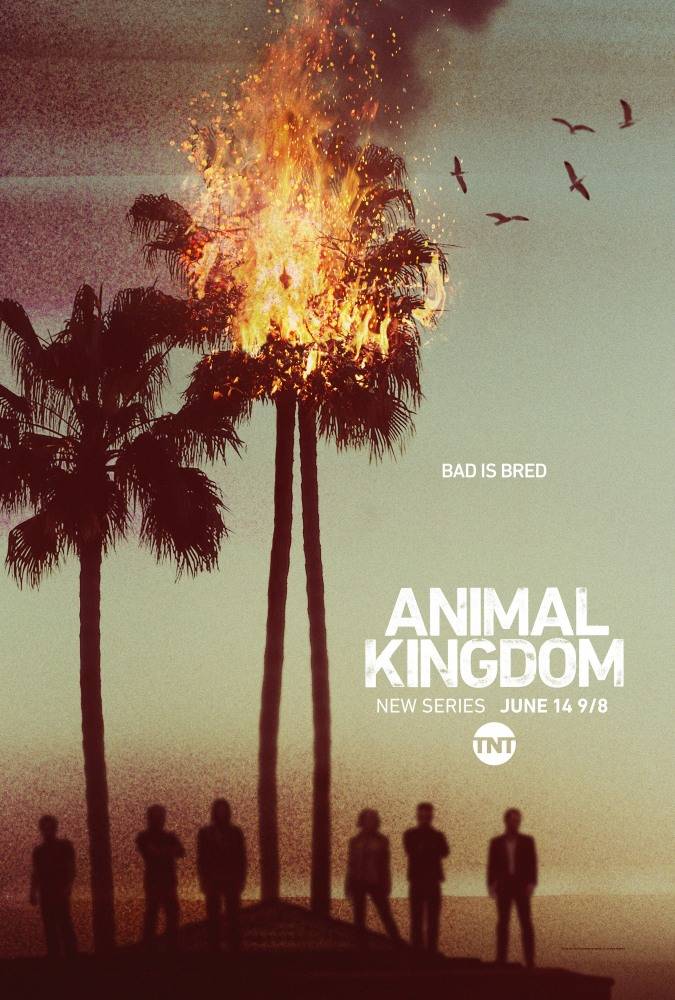 сериал По волчьим законам / Animal Kingdom / 1 сезона / 2016